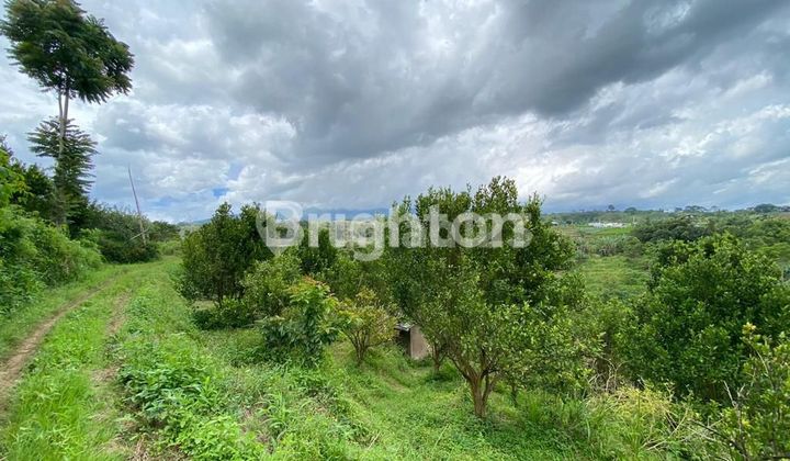 Tanah muraah pool daerah Bumiaji kota Batu