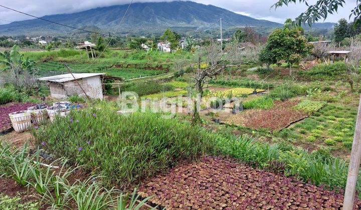 Tanah Murah dengan view indah daerah Bumiaji Kota Batu Tanah Murah dengan view indah daerah Bumiaji Kota Batu