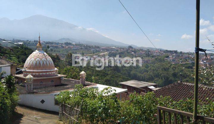 Tanah murah dekat cafe kongkrite  Batu 2