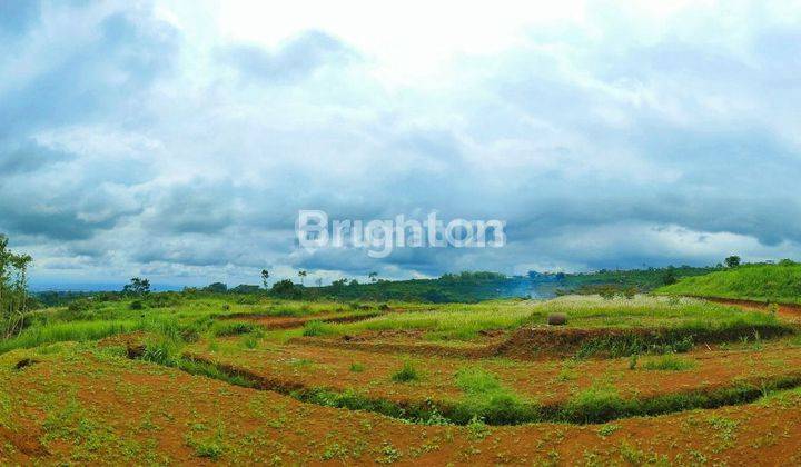 Tanah Strategis Lokasi Samping Kampus UIN 3 Kota Batu 1