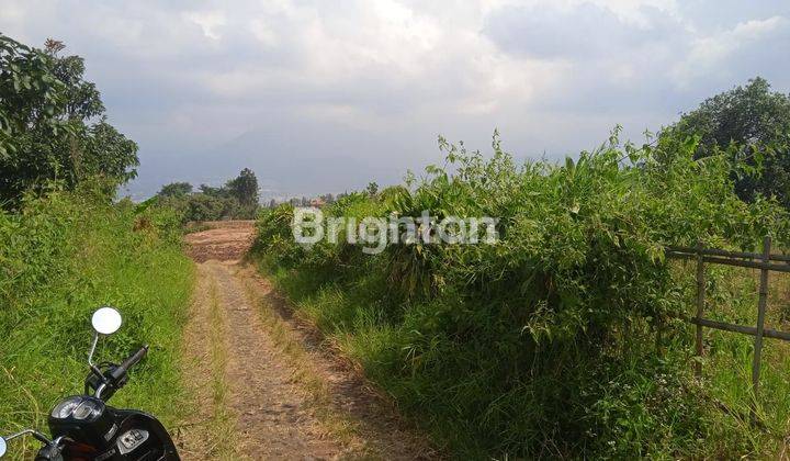 Tanah Kebun Super Luas di Batu 2