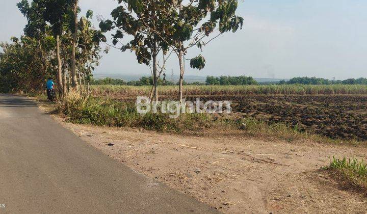 Tanah luas dan muraah puool.daerah mojokerto jawatimur 1