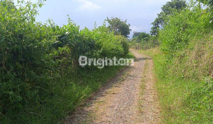 Tanah Kebun Super Luas di Batu 1