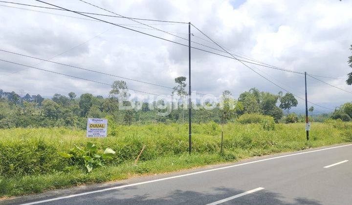 Tanah Ngantong Nol Jalan Raya Poncokusumo 2