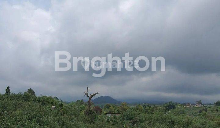 Tanah kebun luas view gunung Pucung Kota Batu 2