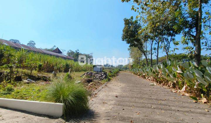 Tanah kavling untuk perumahan. dekat bandara Abdurrahman Saleh Malang 1