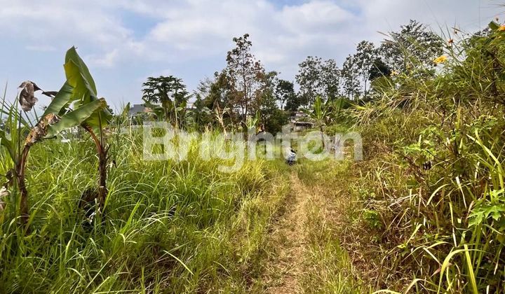 Tanah kavling Abdul ghani kota Batu Tanah kavling Abdul ghani kota Batu