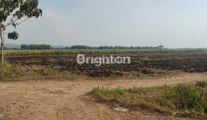 Tanah luas dan muraah puool.daerah mojokerto jawatimur 2