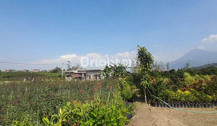 Tanah Murah Cantik Lokasi Cocok untuk Investasi 2