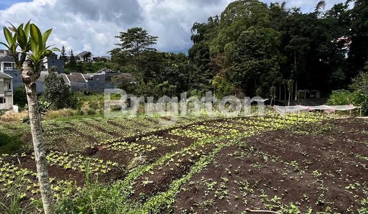 Tanah Luas Samping Ayo Cafe daerah BNN Kota Batu Tanah Luas Samping Ayo Cafe daerah BNN Kota Batu