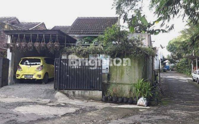 Rumah 1 lt Murah banget area Karang ploso Malang 1