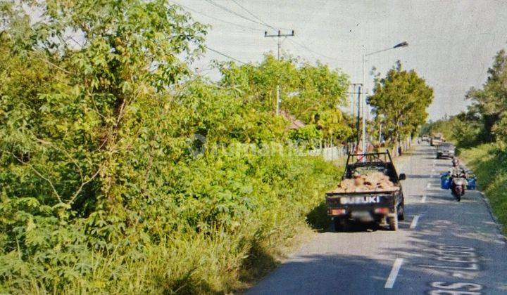 Tanah Kawasan Luas Jalan Jl. Raya Sambas samping Lapas Sambas Kalimantan Barat hz  3
