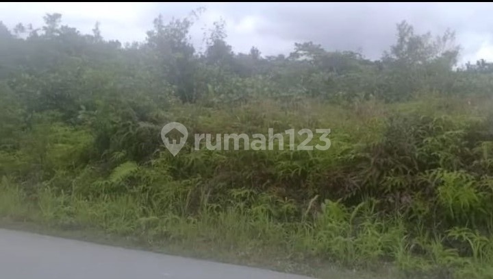 Tanah Kawasan Luas Jalan Jl. Raya Sambas samping Lapas Sambas Kalimantan Barat hz  5
