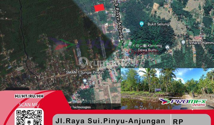Tanah Perkebunan Cocok Untuk Perumahan Jl. Raya Sui.pinyu Anjungan Kalimantan Barat hj  1