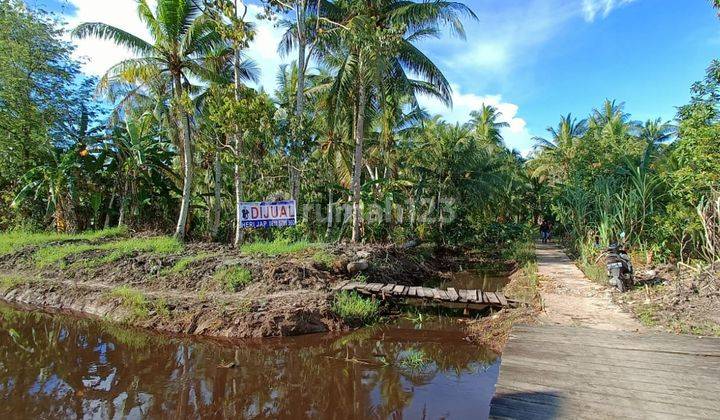 Tanah Perkebunan Cocok Untuk Perumahan Jl. Raya Sui.pinyu Anjungan Kalimantan Barat hj  2
