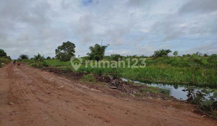 Tanah Cocok Investasi Dekat Airport Jl. Rasau Jaya Kalimantan Barat kp  5