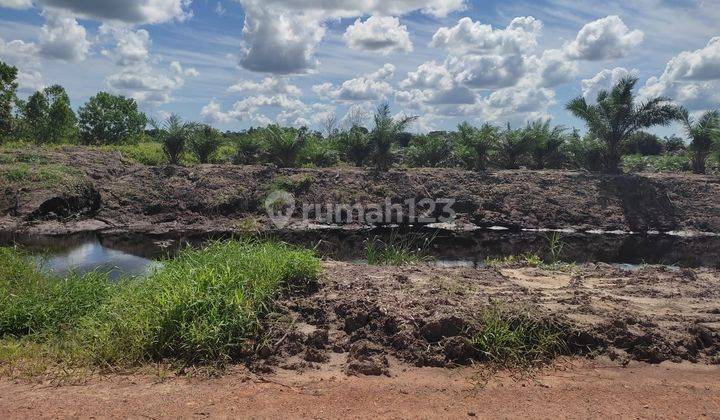 Tanah Cocok Investasi Dekat Airport Jl. Rasau Jaya Kalimantan Barat kp  6