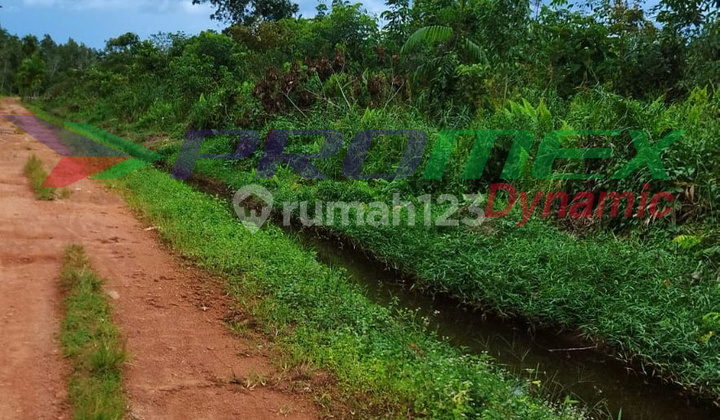 Lahan Luas Harga Terjangkau Jl. Kampung Durian Pontianak Kalimantan Barat ak  3