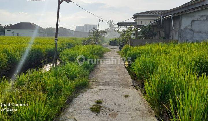 Tanah Murah Bagus Jl.karet Pontianak Kalimantan Barat blk 06  1