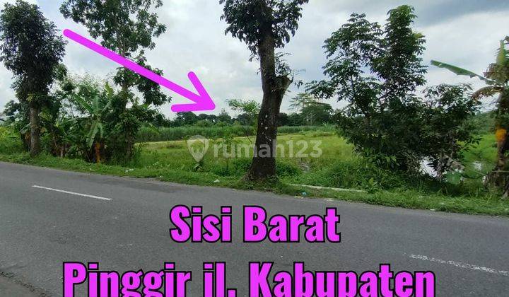 Tanah Luas Cocok untuk Perumahan,Mall,Apartment di Sleman,Yogyakarta 3