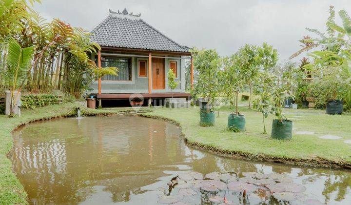 Rumah Dengan Taman Dijual Di Baturiti Tabanan Terbaru