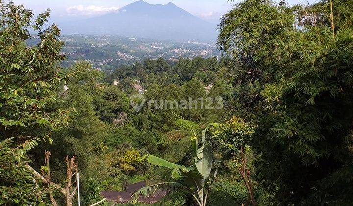 Villa Megamendung View Gunung Salak 2