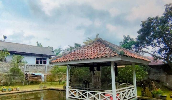 Dijual Villa Dan Kebun Di Puncak Cipanas 2