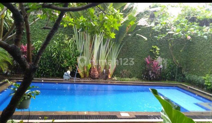 Rumah Ada Swimming Pool Di Jati Padang Jakarta 1