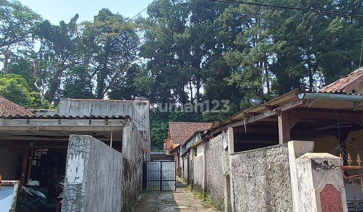 RUMAH SUASANA KAMPUNG ALAM DI TENGAH KOTA BOGOR 10