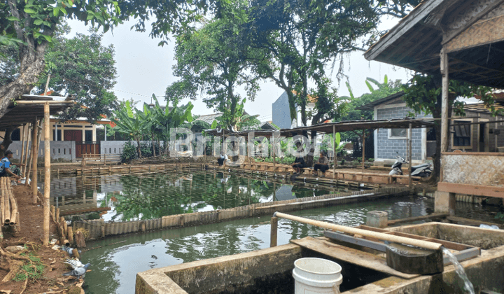 TERMURAH! Lahan potensial perumahan, perkebunan, perikanan di Bogor 2