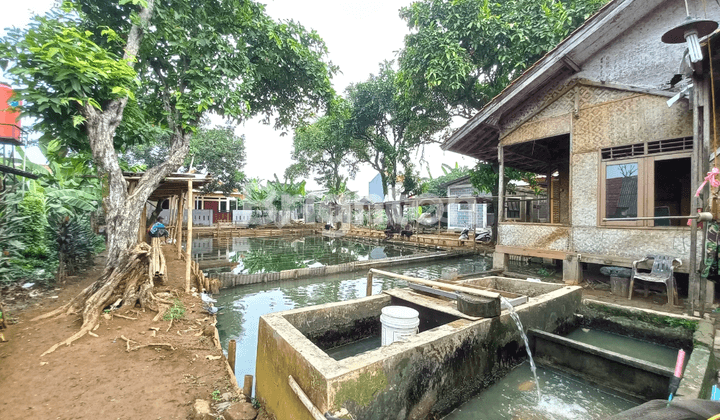 TERMURAH! Lahan potensial perumahan, perkebunan, perikanan di Bogor 1