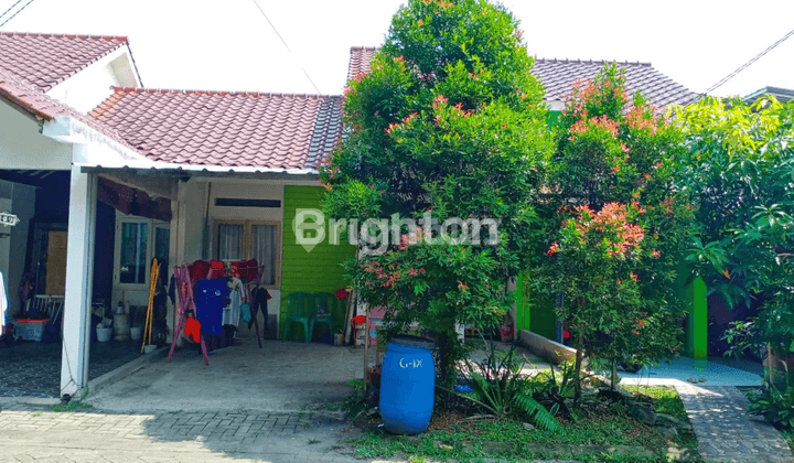 Rumah rumah dekat IPB Dramaga Bogor (bisa usaha kost) 1