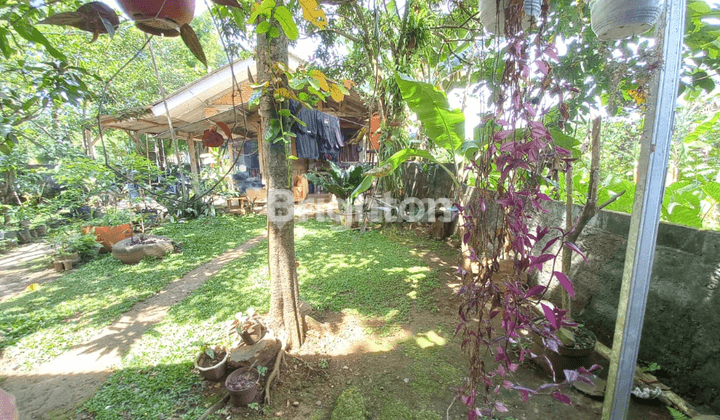 Rumah murah dengan lahan yang luas di Sentul 2