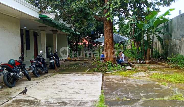 Disewakan Rumah Perlu Direnovasi Kondisi Apa Adanya dengan Halaman Sangat Luas Kawasan Psr Minggu Jak-Sel Disewakan Rumah Perlu Direnovasi Kondisi Apa Adanya dengan Halaman Sangat Luas Kawasan Psr Minggu Jak-Sel