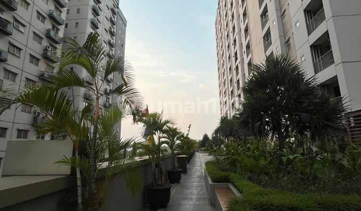 Dijual Unit Apartmen The Oak Tower Jakarta Timur Dijual Unit Apartmen The Oak Tower Jakarta Timur
