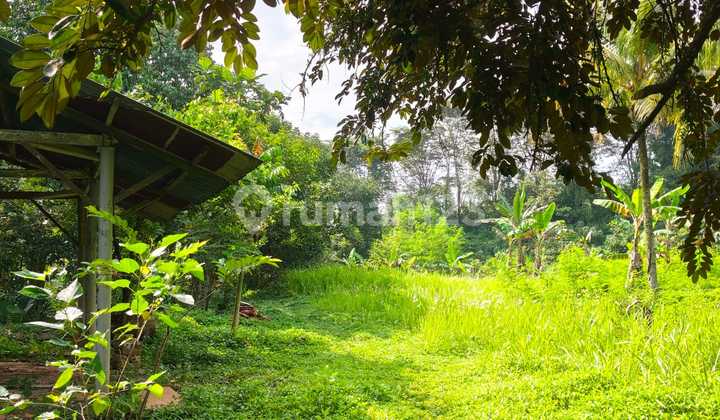 Tanah 1,6 Ha Ciseeng Bogor - Dekat Tol Jorr 3, Harga Murah Cocok Komersial