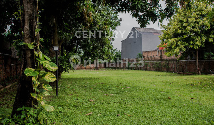 Rumah Dengan Tanah Luas Bisa Untuk  Usaha Outdoor Party 2