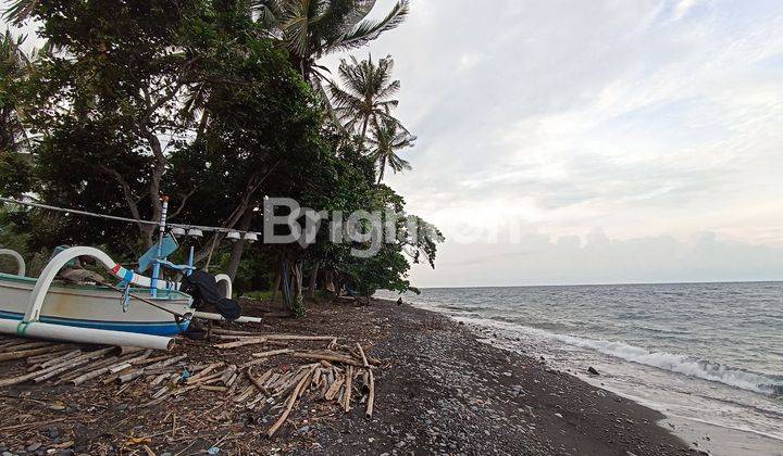 Tanah Premium Pinggir Jalan Raya dan Pinggir Pantai di Buleleng 2