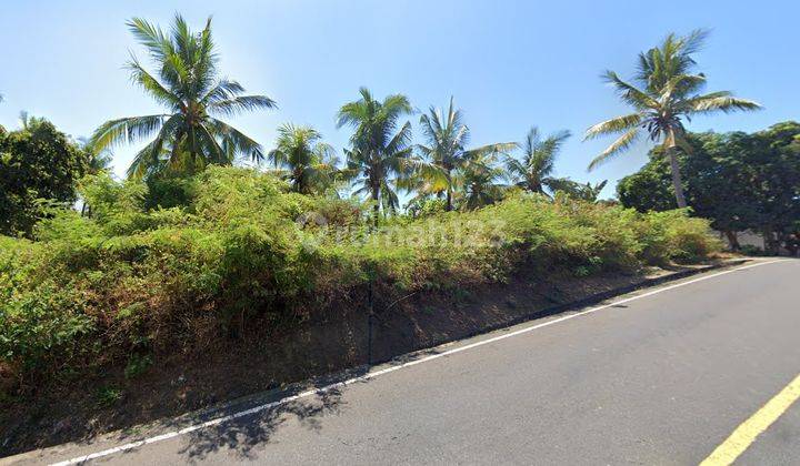 Premium Roadside and Beachside Land in Buleleng 2