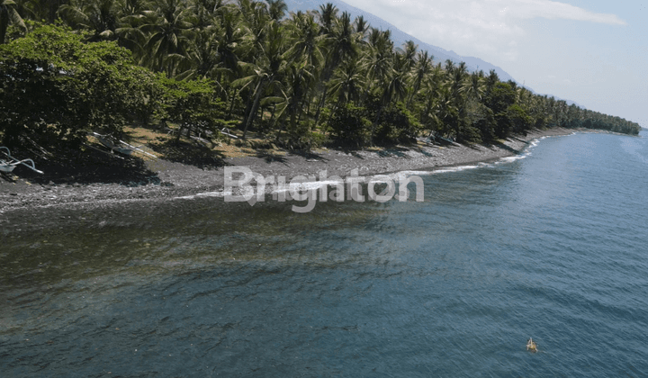 Premium Roadside and Beachside Land in Buleleng 1