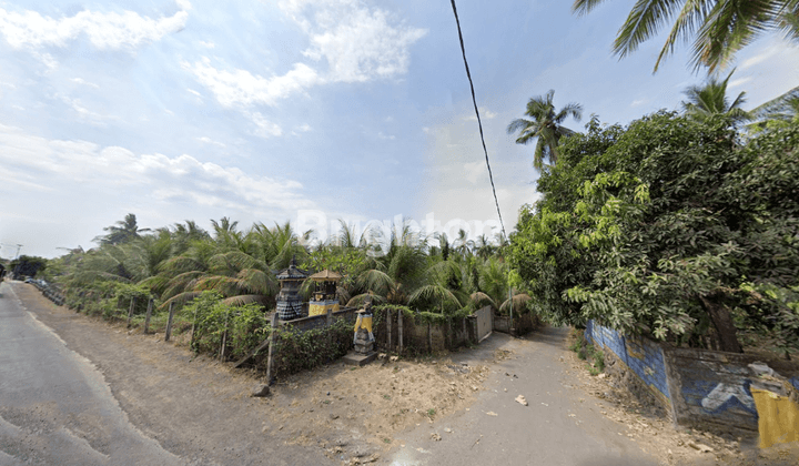 Cheap land next to the main road in Buleleng 2