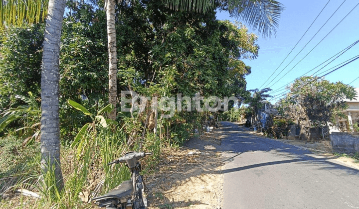 Pa76 Tanah Murah Pinggir Jalan View Bukit Dan Laut Buleleng 2