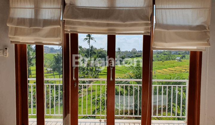 Rumah Minimalis View Sawah Sangat Asri Di Canggu 2