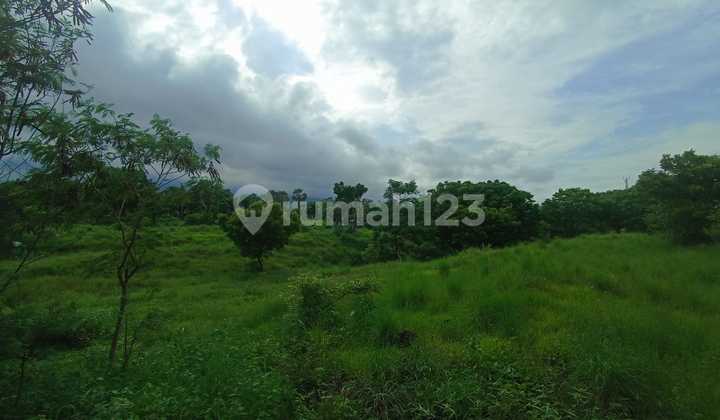 Pa165 Dijual Tanah Pinggir Jalan Raya Zona Pariwisata di Tulamben