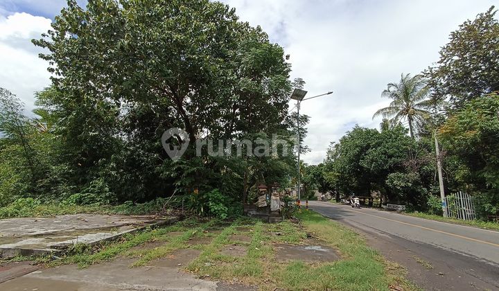 Cheap Land on the Side of the Main Road in Tejakula Buleleng