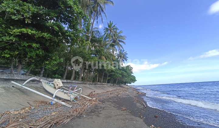 87 Are beachfront land in Tejakula, Buleleng