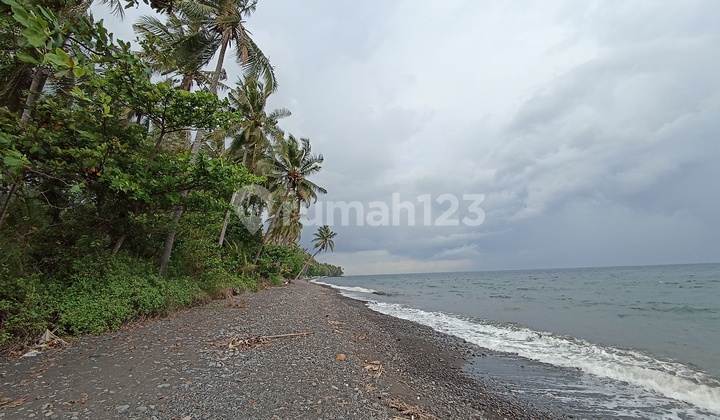 Large land on the edge of the beach and Singaraja Amplapura Road Large land on the edge of the beach and Singaraja Amplapura Road
