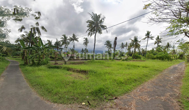 Dijual Murah Tanah Kavling 400 m2 dekat Singaraja Panji, Buleleng 1