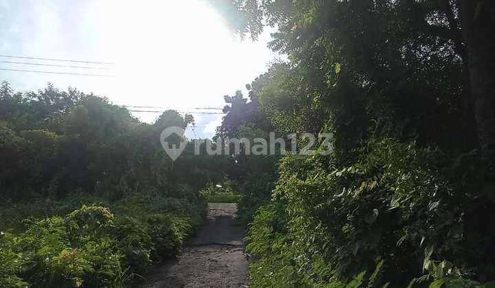 Pa167 Dijual Tanah Zona Pariwisata Dekat Pantai di Tulamben
