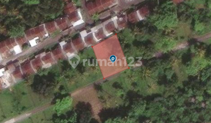 Pa168 Dijual Tanah Kavling 4 Are Daerah Lovina Siap Bangun Villa Pa168 Dijual Tanah Kavling 4 Are Daerah Lovina Siap Bangun Villa